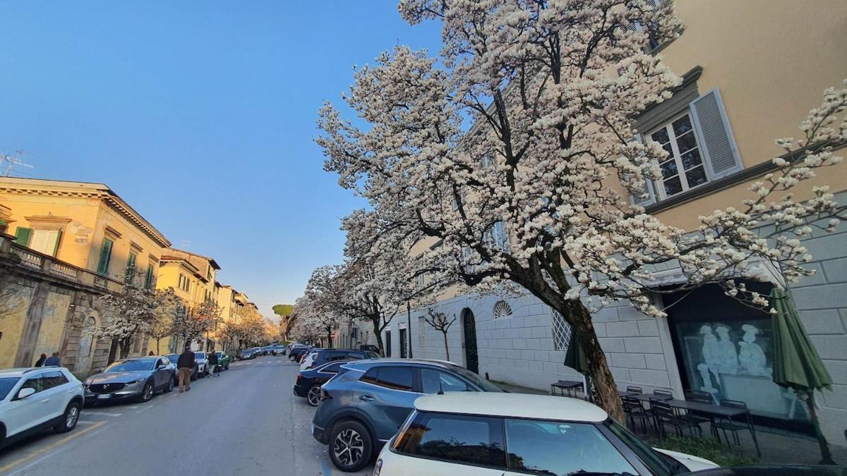 Appartement Nonna Natalina Lucques